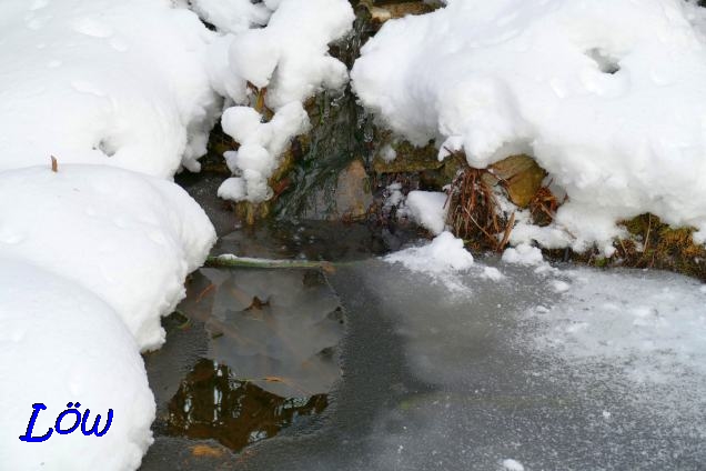 6.1.2019 - Der verschneite Teich